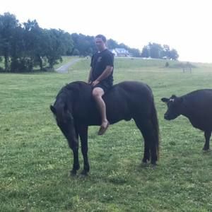 Meet your Posher, Brandsford